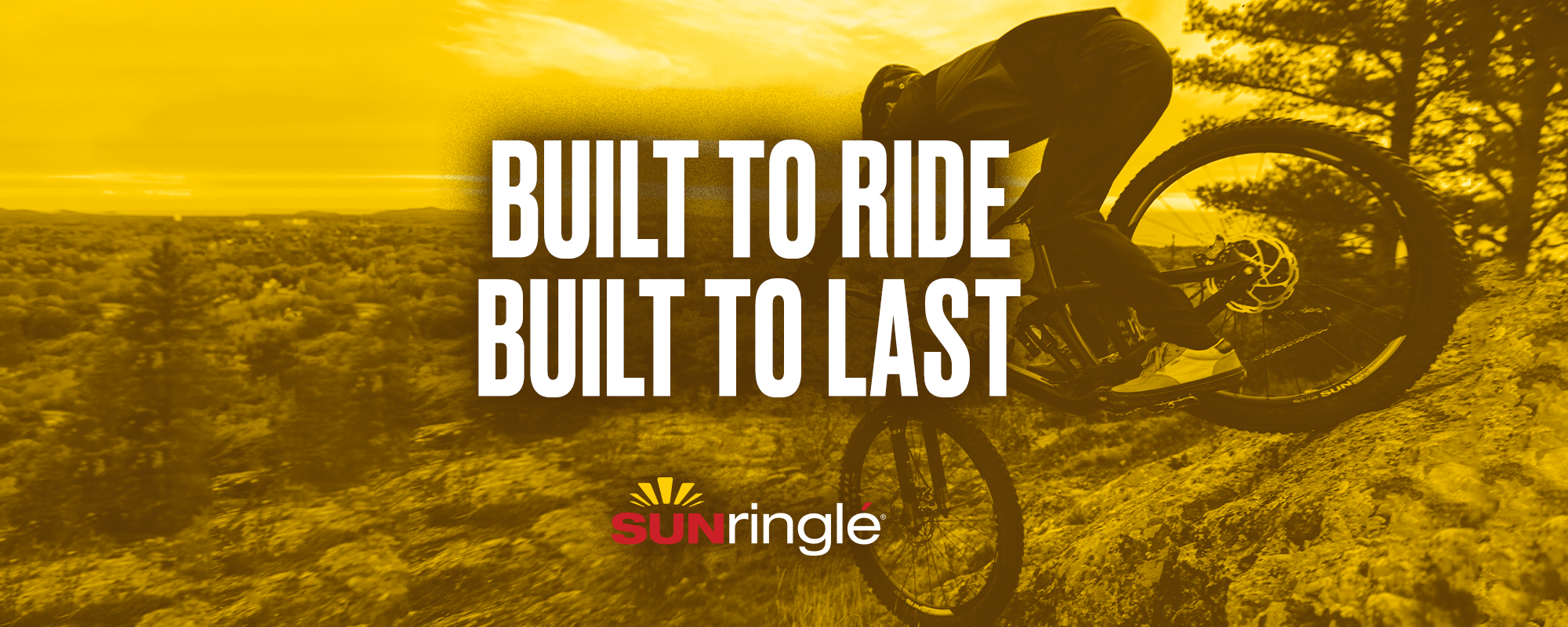 SUNRinglé – Hayes Bicycle EU